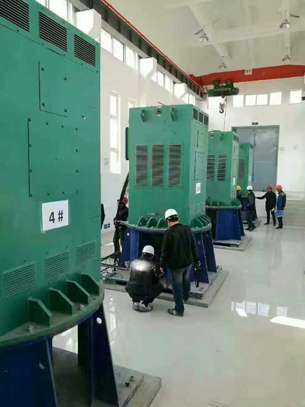 安图某污水处理厂使用我厂的立式高压电机安装现场